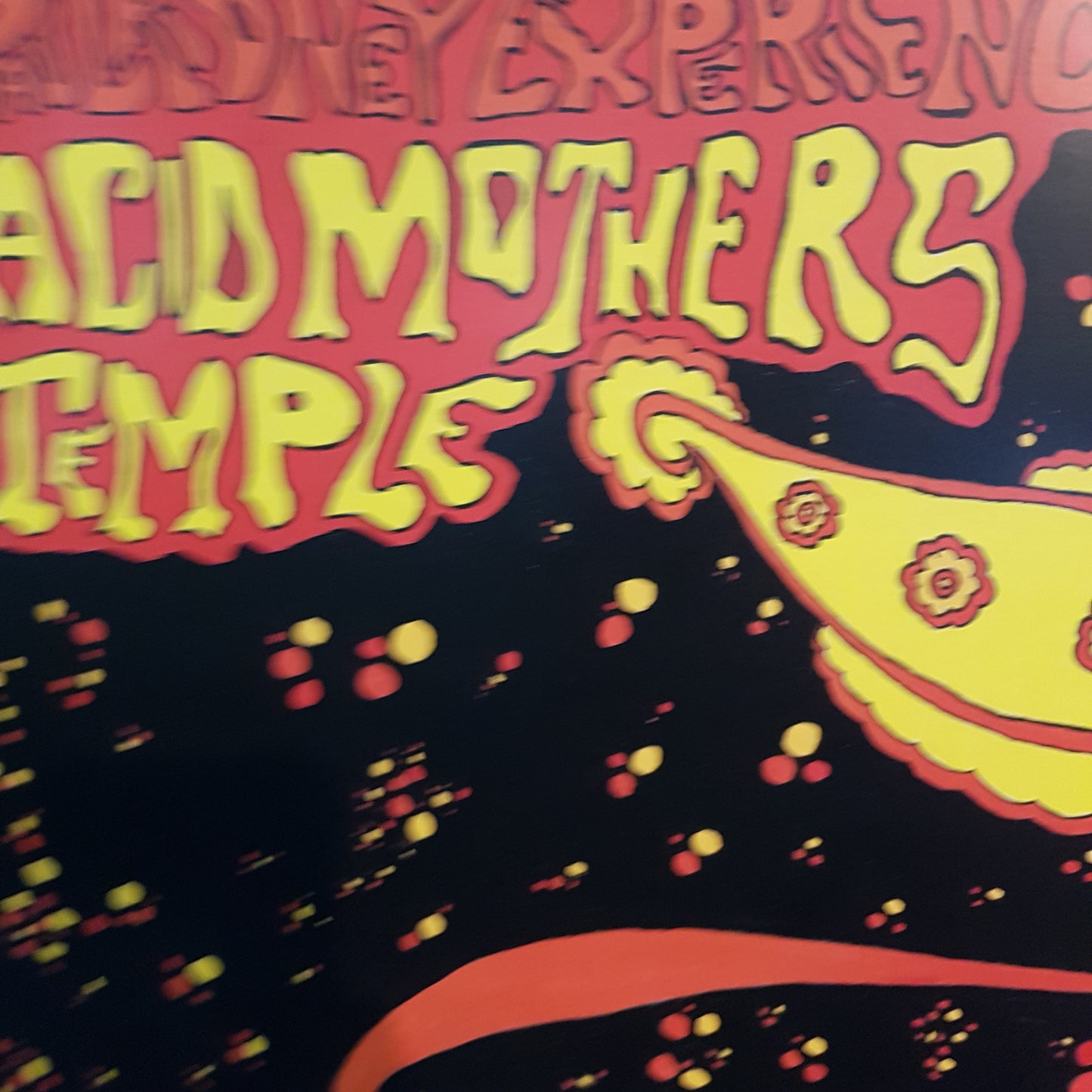 PAUL KIDNEY EXPERIANCE - ACID MOTHERS TEMPLE VINYL