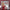 DOLLY PARTON - A HOLLY DOLLY CHRISTMAS (RED COLOURED) VINYL