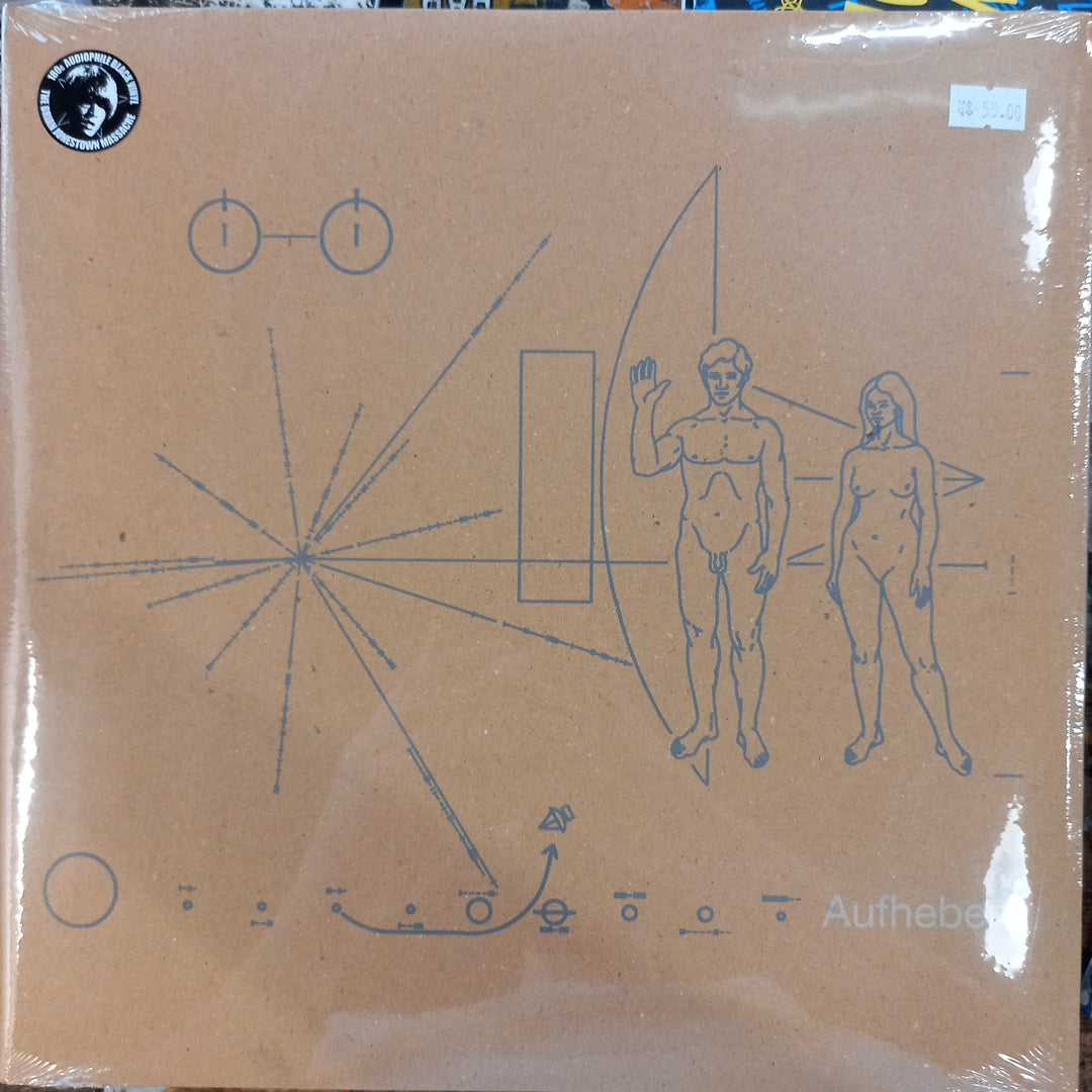 BRIAN JONESTOWN MASSACRE - AUFHEBEN VINYL