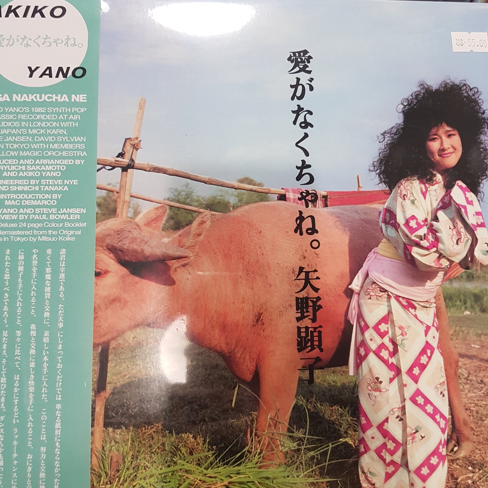 AKIKO YANO - AI GA NAKUCHA NE VINYL
