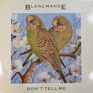 BLANCMANGE - DONT TELL ME (USED VINYL 1984 U.K. 12" M- EX)