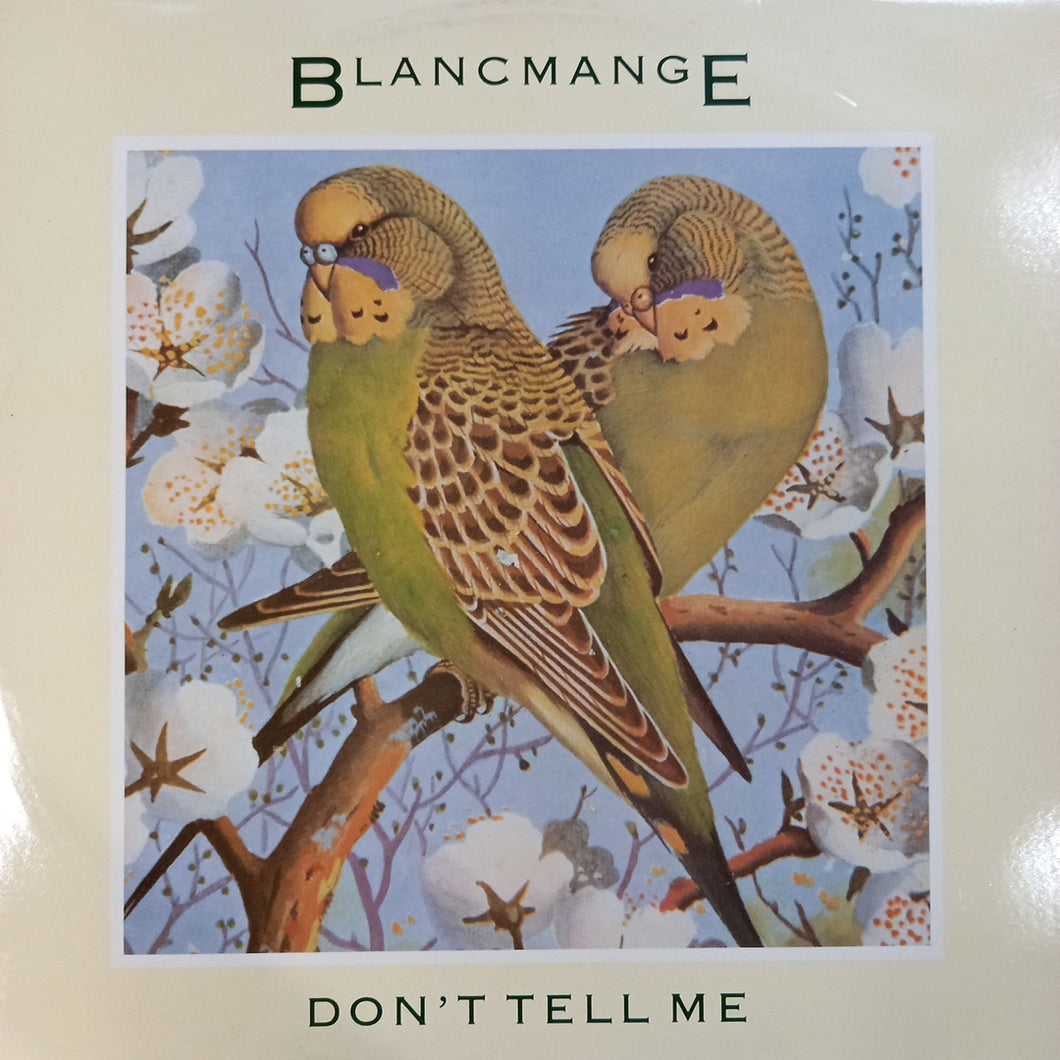 BLANCMANGE - DONT TELL ME (USED VINYL 1984 U.K. 12