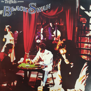 TRIFFIDS - THE BLACK SWAN (USED VINYL 1989 UK M-/EX+)