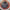 CANNED HEAT - FRIENDS IN THE CAN (PICTURE DISC) (BLACK FRIDAY 2021) VINYL
