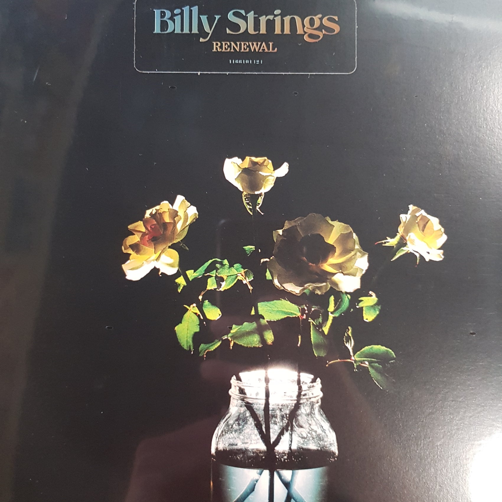 BILLY SPRINGS - RENEWAL (2LP) VINYL