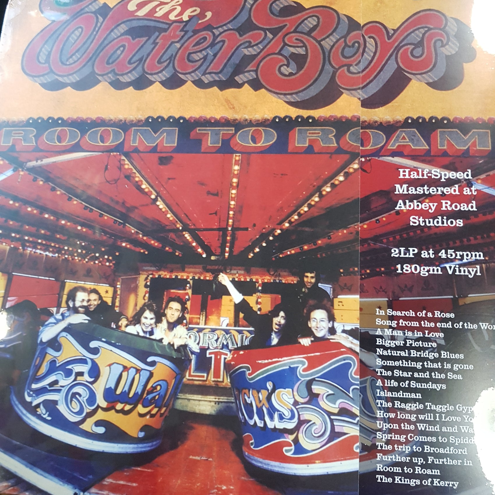 WATERBOYS - ROOM TO ROAM (HALF SPEED MASTERED) (2LP) VINYL