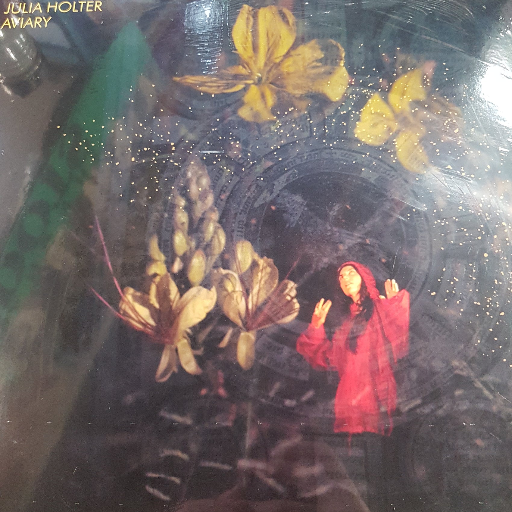 JULIA HOLTER - AVIARY (2LP) VINYL