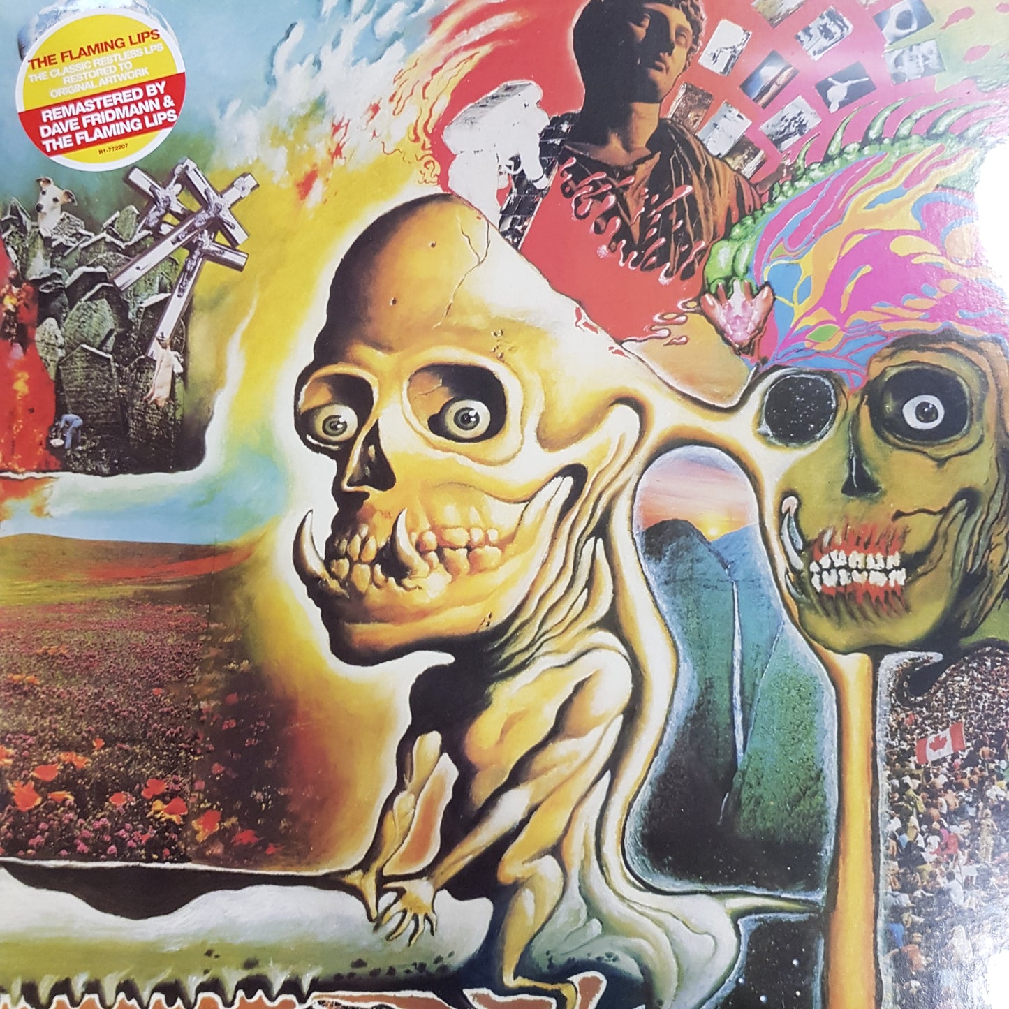 FLAMING LIPS - OH MY GAWD!!!... VINYL