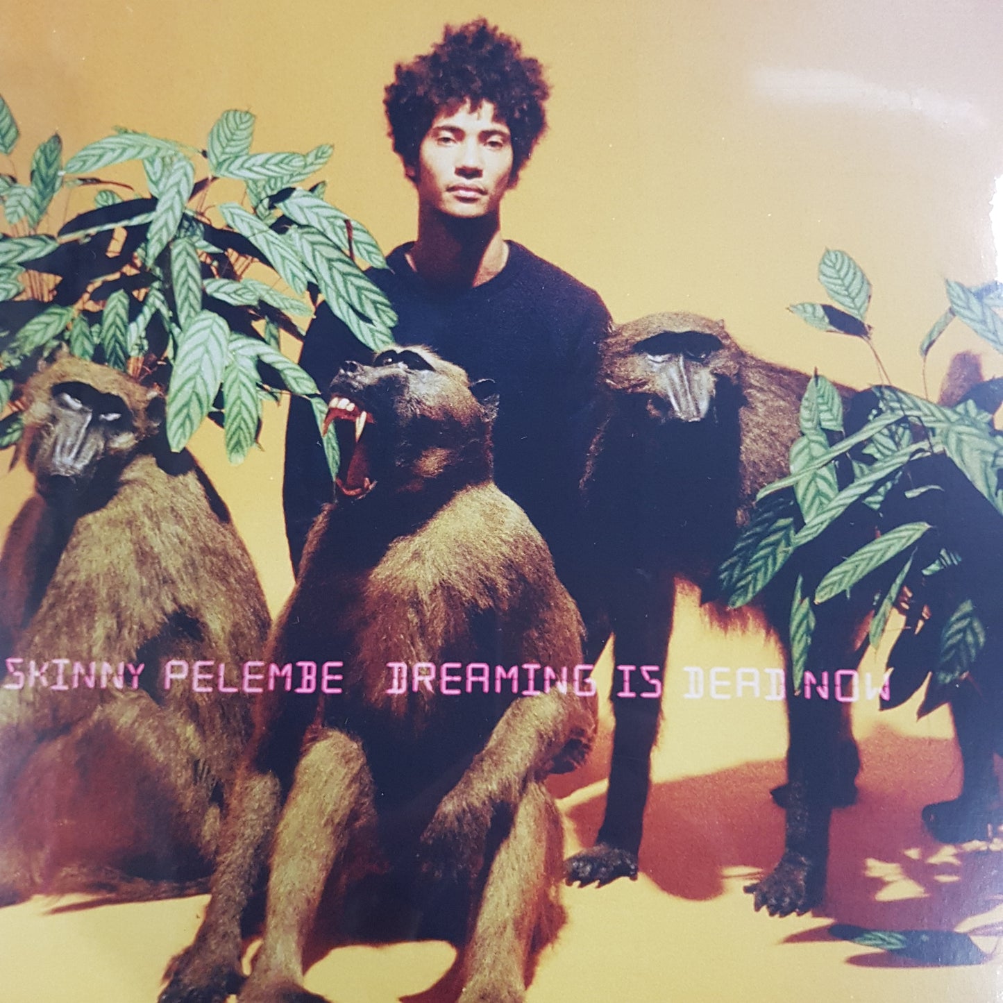 SKINNY PELEMBE - DREAMING IS DEAD NOW VINYL