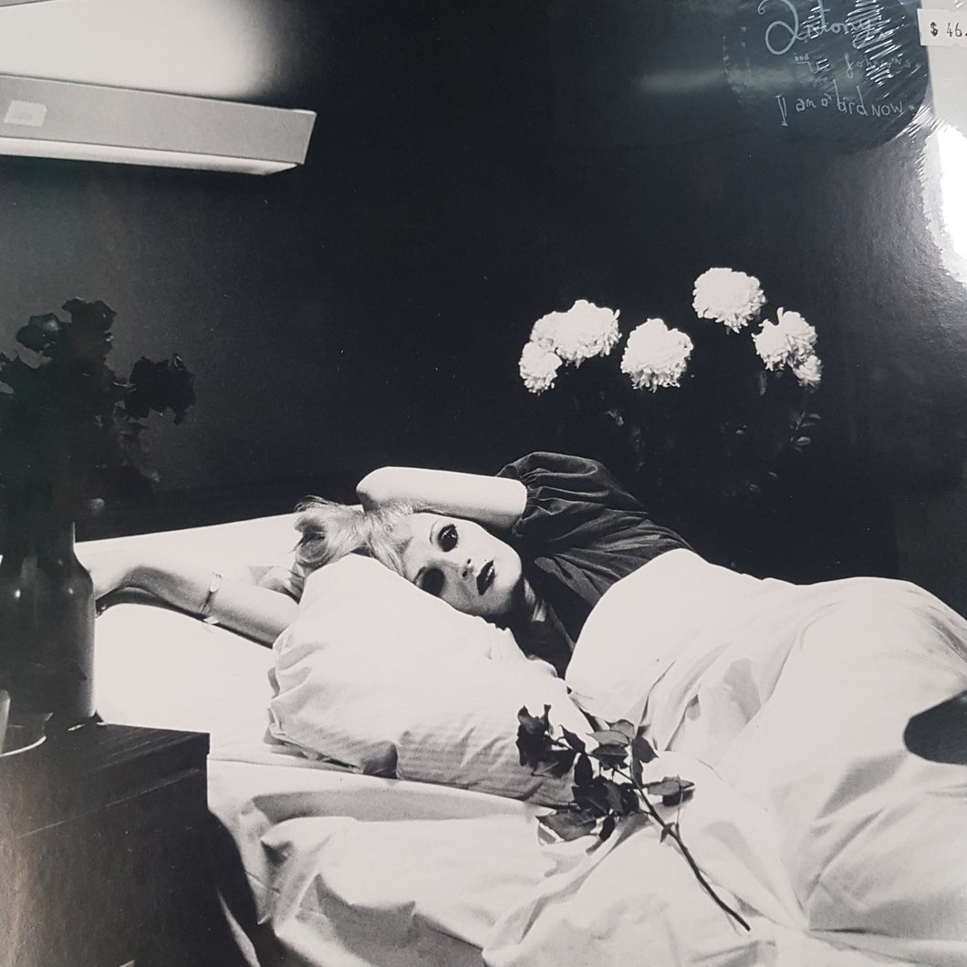 ANTONY AND THE JOHNSONS - I AM A BIRD NOW VINYL