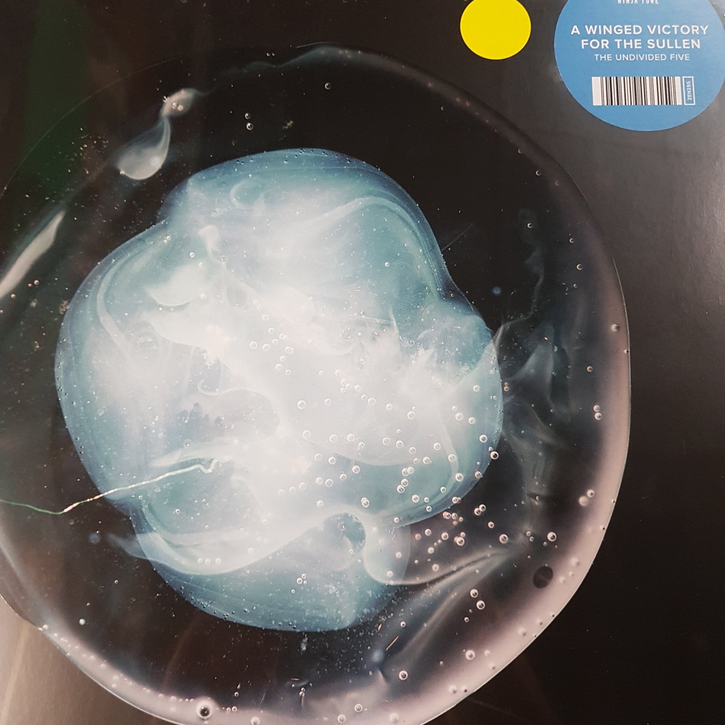 WINGED VICTORY FOR THE SULLEN - THE UNDIVIDED FIVE VINYL