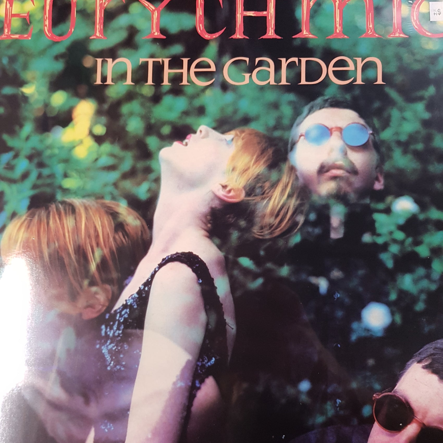 EURYTHMICS -  IN THE GARDEN VINYL