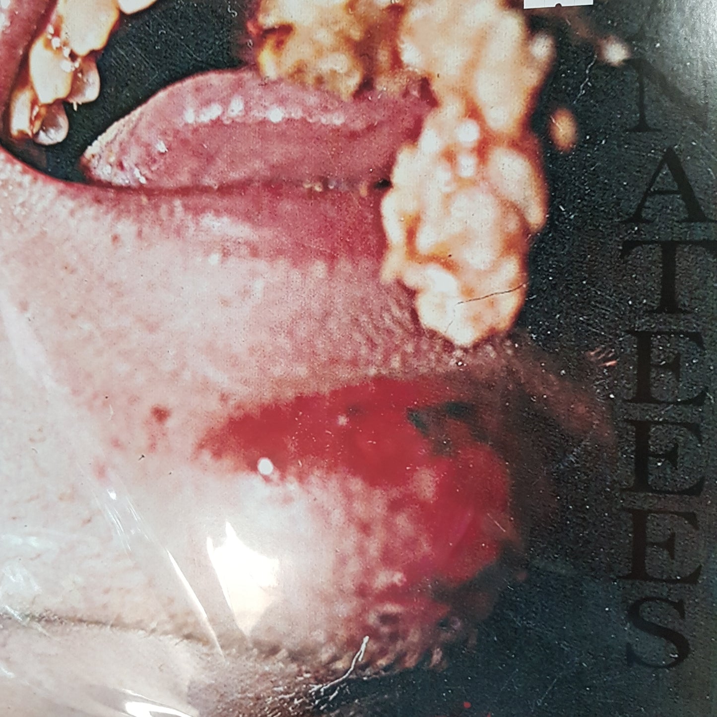 MANATEEES - SIT N SPIN VINYL