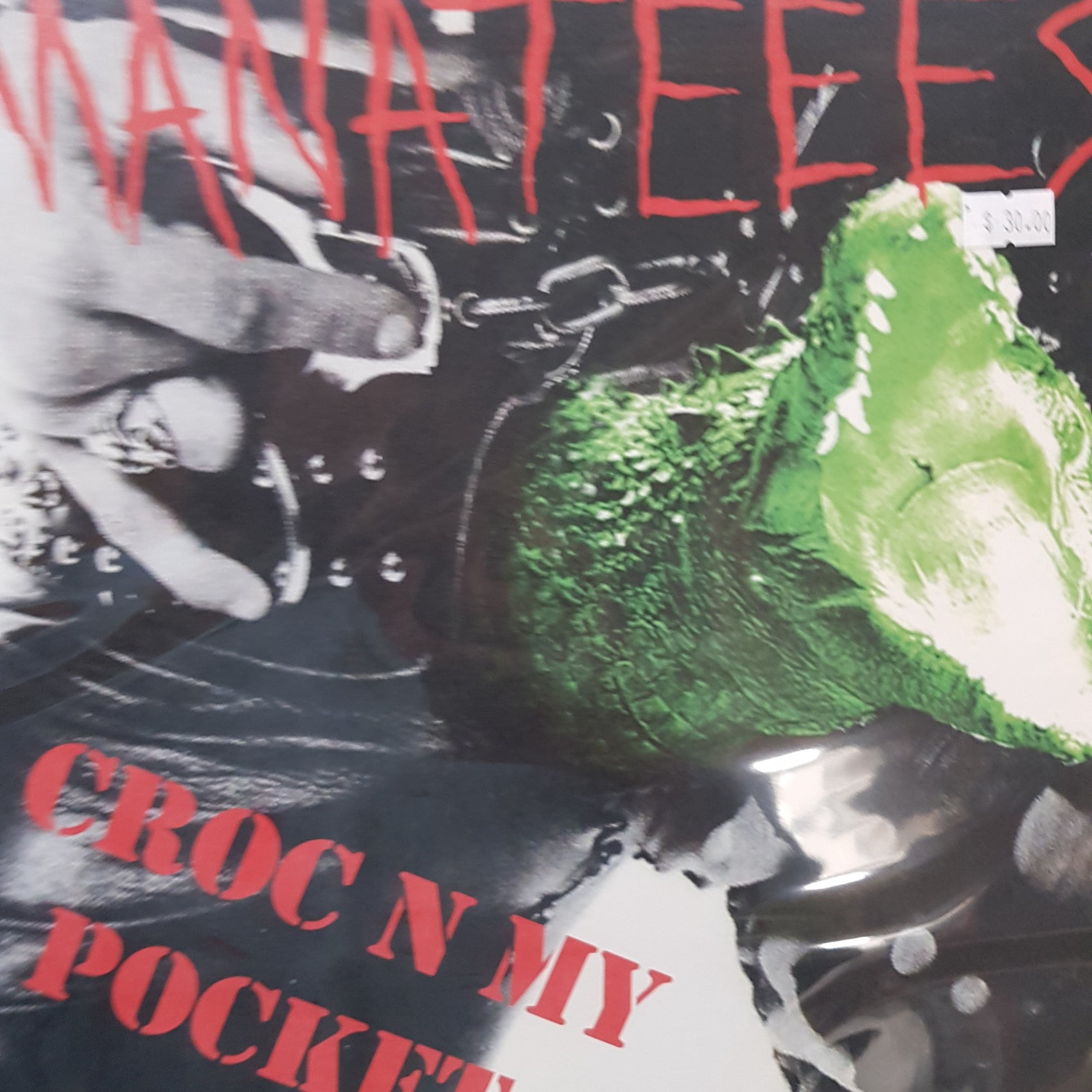 MANATEEES - CROC N MY POCKET VINYL