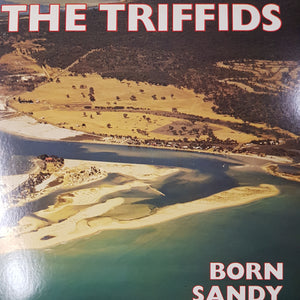 TRIFFIDS - BORN SANDY DEVONTIONAL (USED VINYL 1986 AUS M-/EX+)