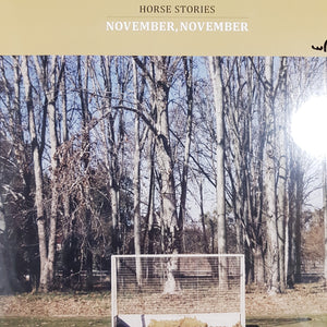 HORSE STORIES - NOVEMBER NOVEMBER (+CD) VINYL