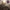 KNXWLEDGE - 1988 (PURPLE AND BLACK COLOURED) VINYL