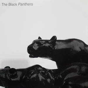 BLACK PANTHERS - SELF TITLED VINYL