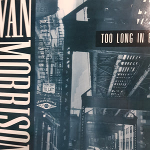 VAN MORRISON - TOO LONG IN EXHILE (USED VINYL 1993 UK M-/M-)