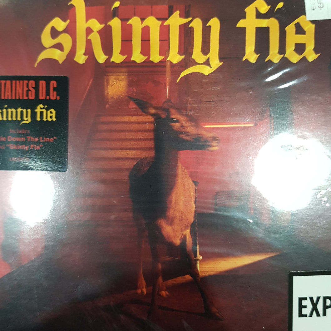 FONTAINES D.C. - SKINTY FIA CD