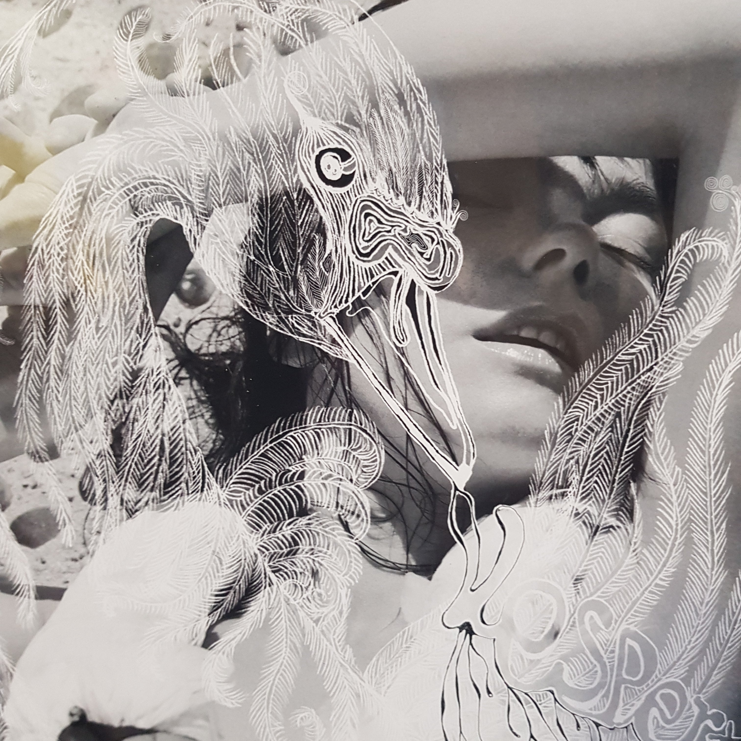 Björk vespertine 2LP Björk – Vespertine – 2 x Vinyl (180 Gram, LP, Album, Reissue