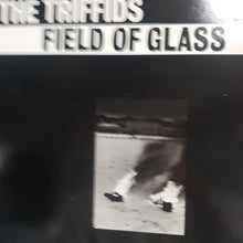 Load image into Gallery viewer, TRIFFIDS - FIELD OF GLASS (12&quot;) (USED VINYL 1985 UK M-/EX+)
