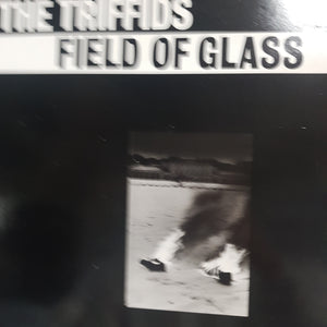 TRIFFIDS - FIELD OF GLASS (12") (USED VINYL 1985 UK M-/EX+)