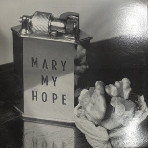 MARY MY LOVE - MUSEUM (USED VINYL 1989 AUS)