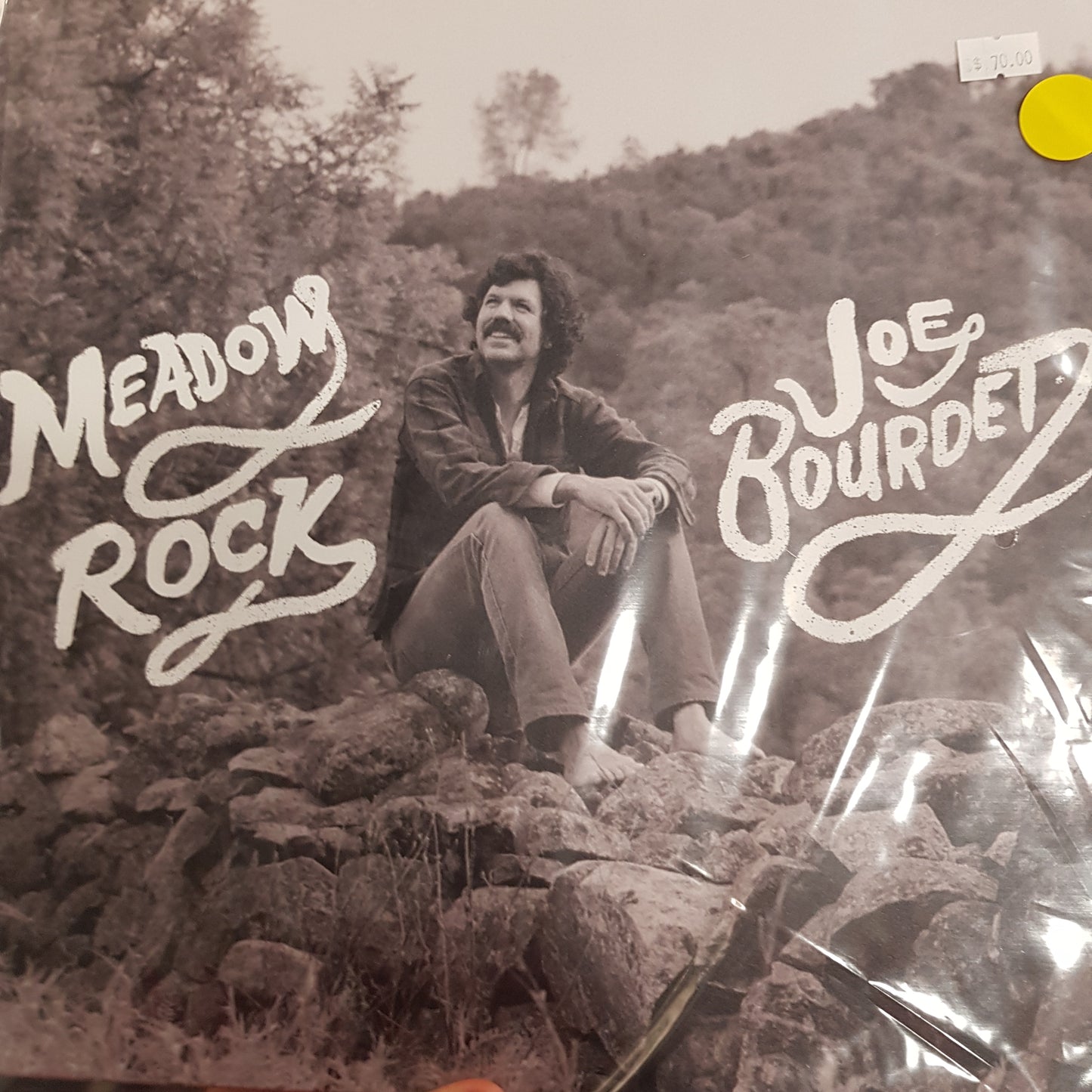 JOE BOURDET - MEADOWS ROCK VINYL