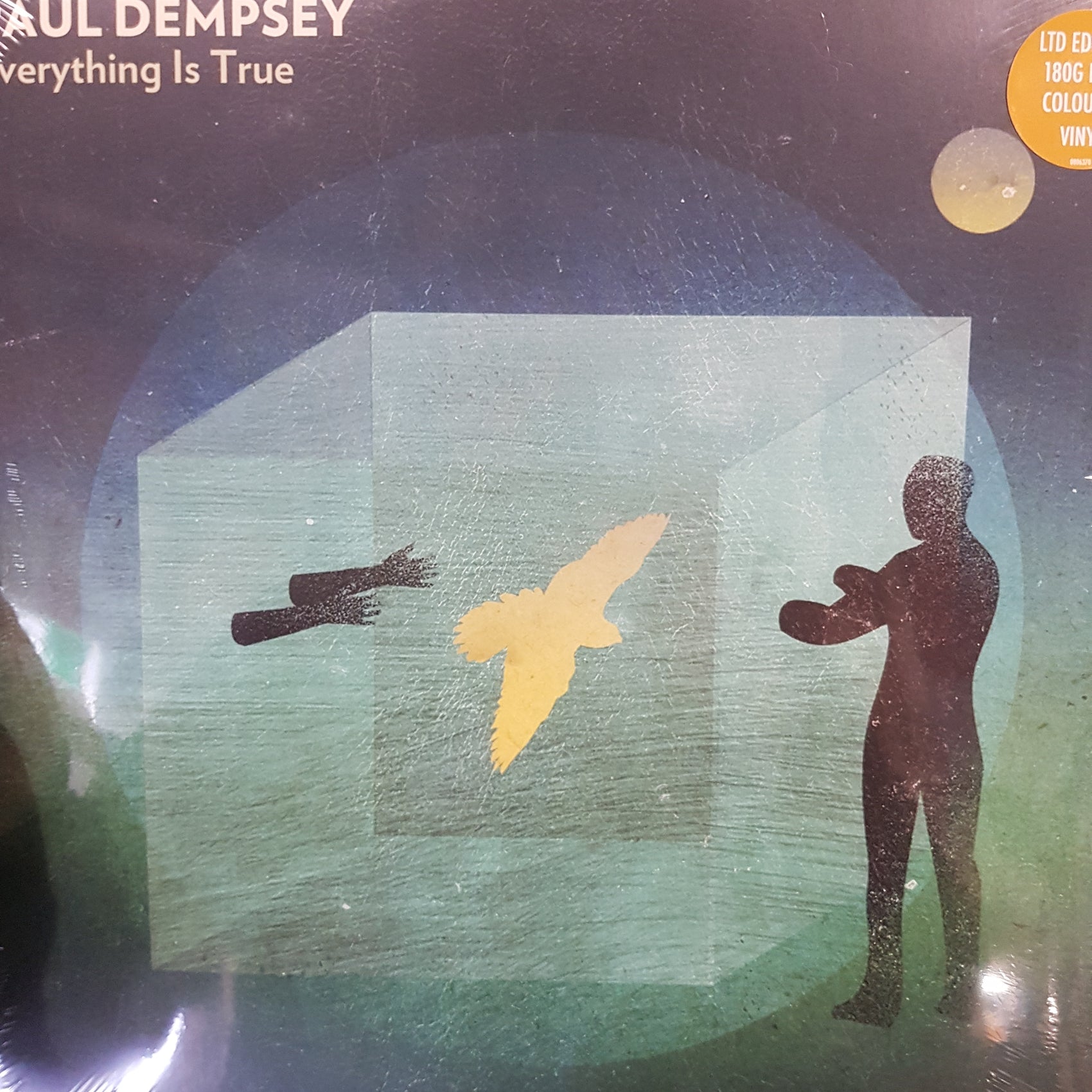 PAUL DEMPSEY - EVERYTHING IS TRUE (BEER COLOURED) (2LP) VINYL