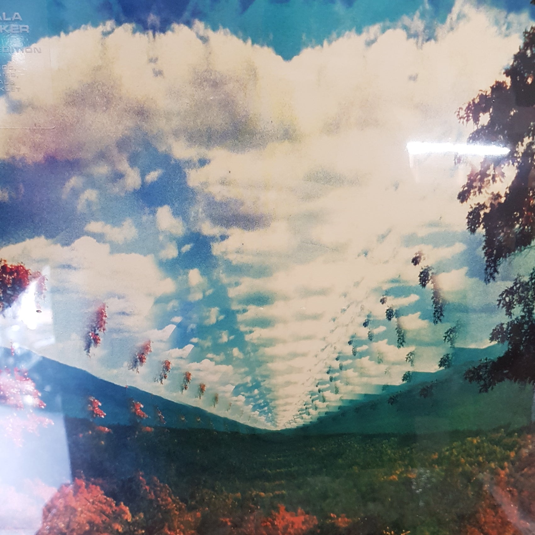 TAME IMPALA - INNERSPEAKER (10 YEAR ANNIVERSARY) (4LP) VINYL BOX SET
