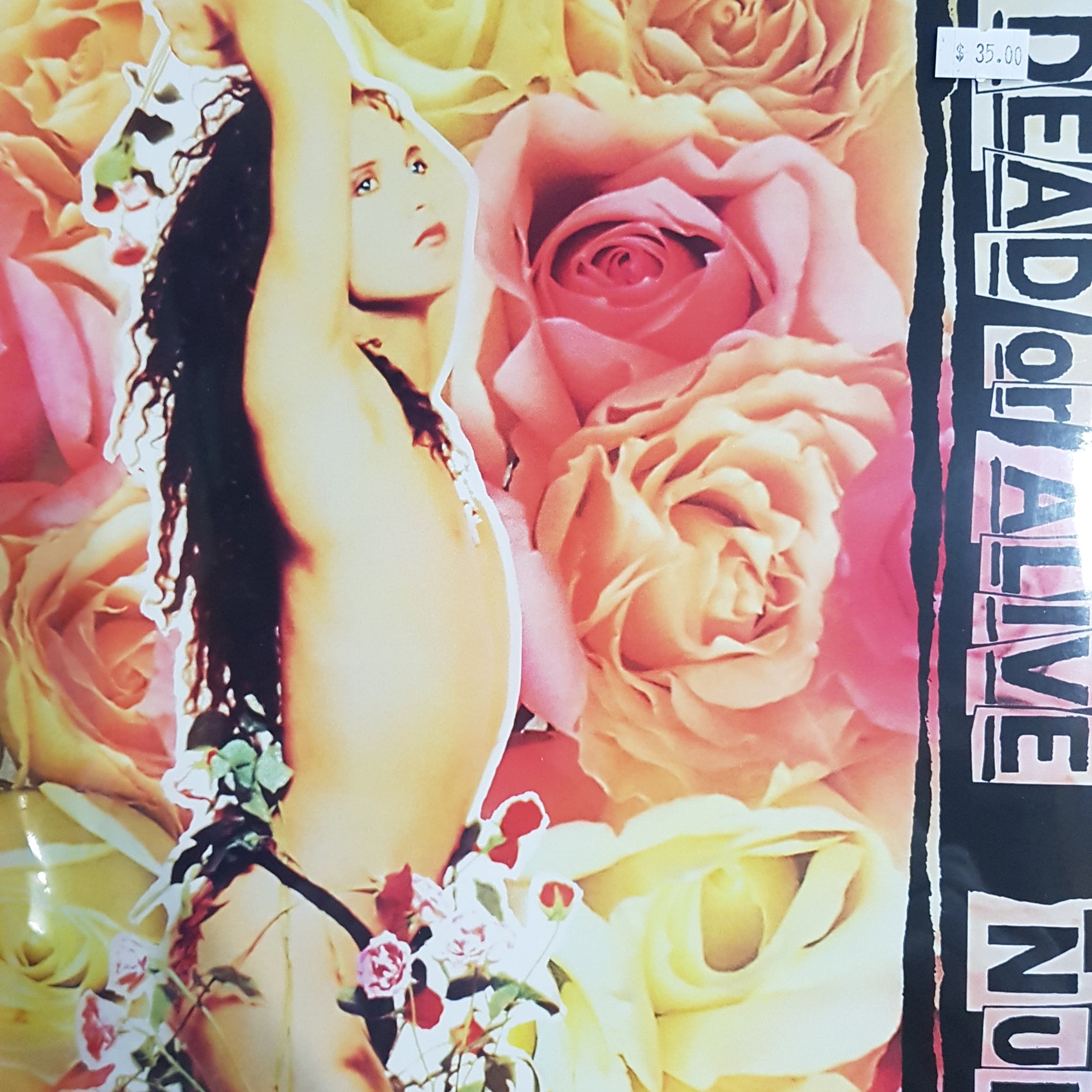 DEAD OR ALIVE - NUDE VINYL