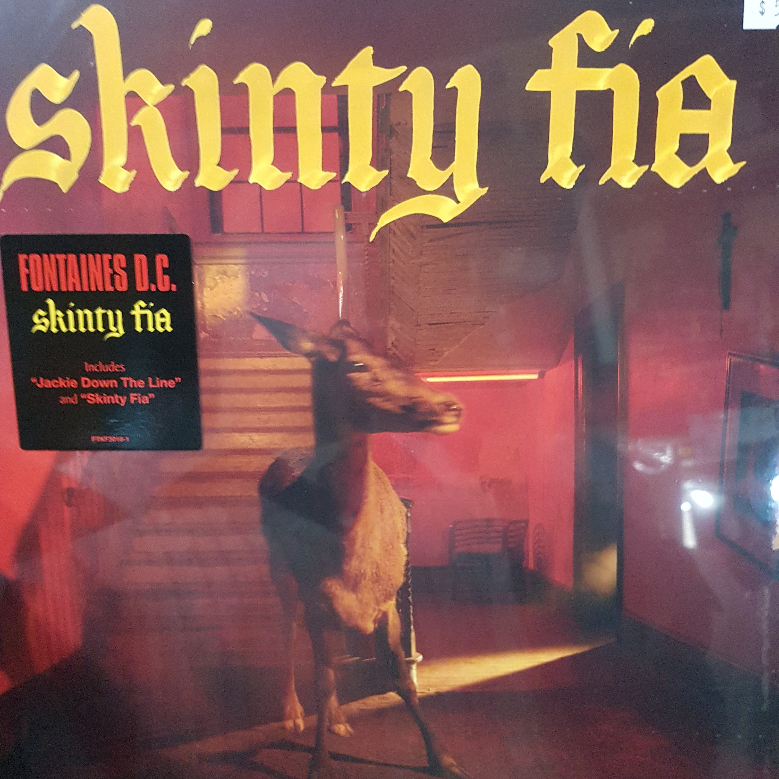 FONTAINES D.C. - SKINTY FIA VINYL – GrevilleRecords
