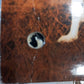 ANIMAL LOGIC - SELF TITLED (USED VINYL 1989 CANADA M- EX-)