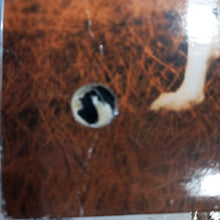 Load image into Gallery viewer, ANIMAL LOGIC - SELF TITLED (USED VINYL 1989 CANADA M- EX-)
