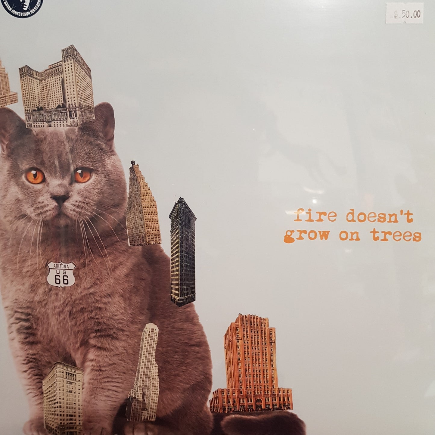 BRIAN JONESTOWN MASSACRE - FIRE DOESNT GROW ON TREES VINYL