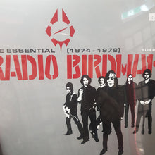 Load image into Gallery viewer, RADIO BIRDMAN - THE ESSENTIAL (2LP) VINYL
