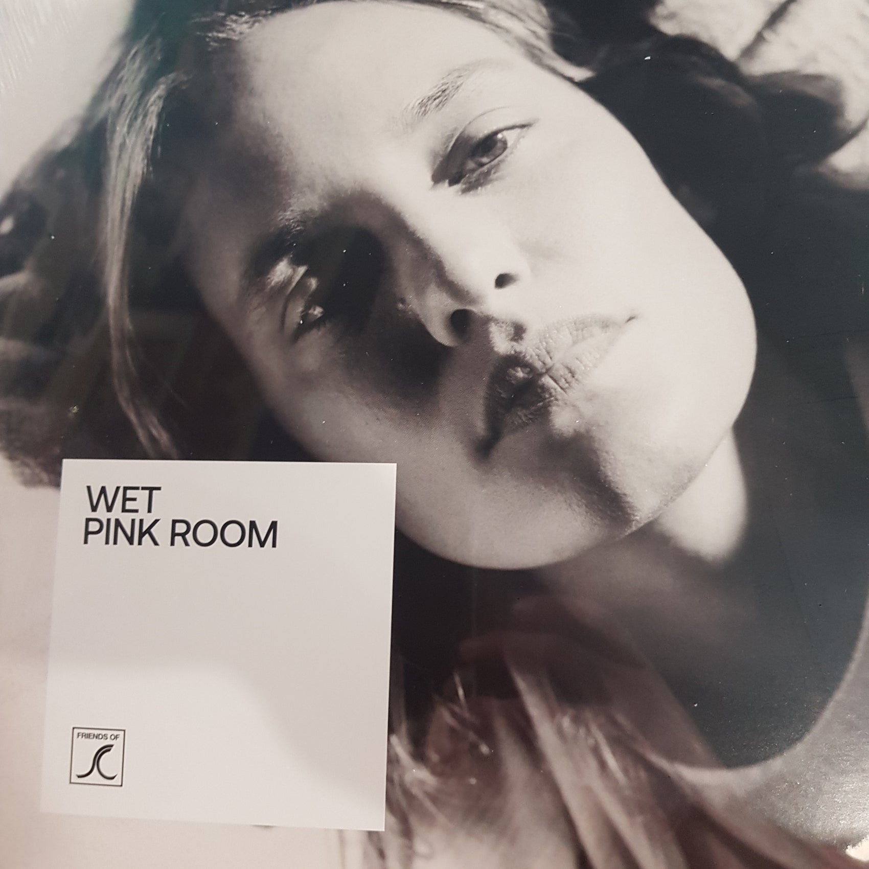 WET - PINK ROOM VINYL