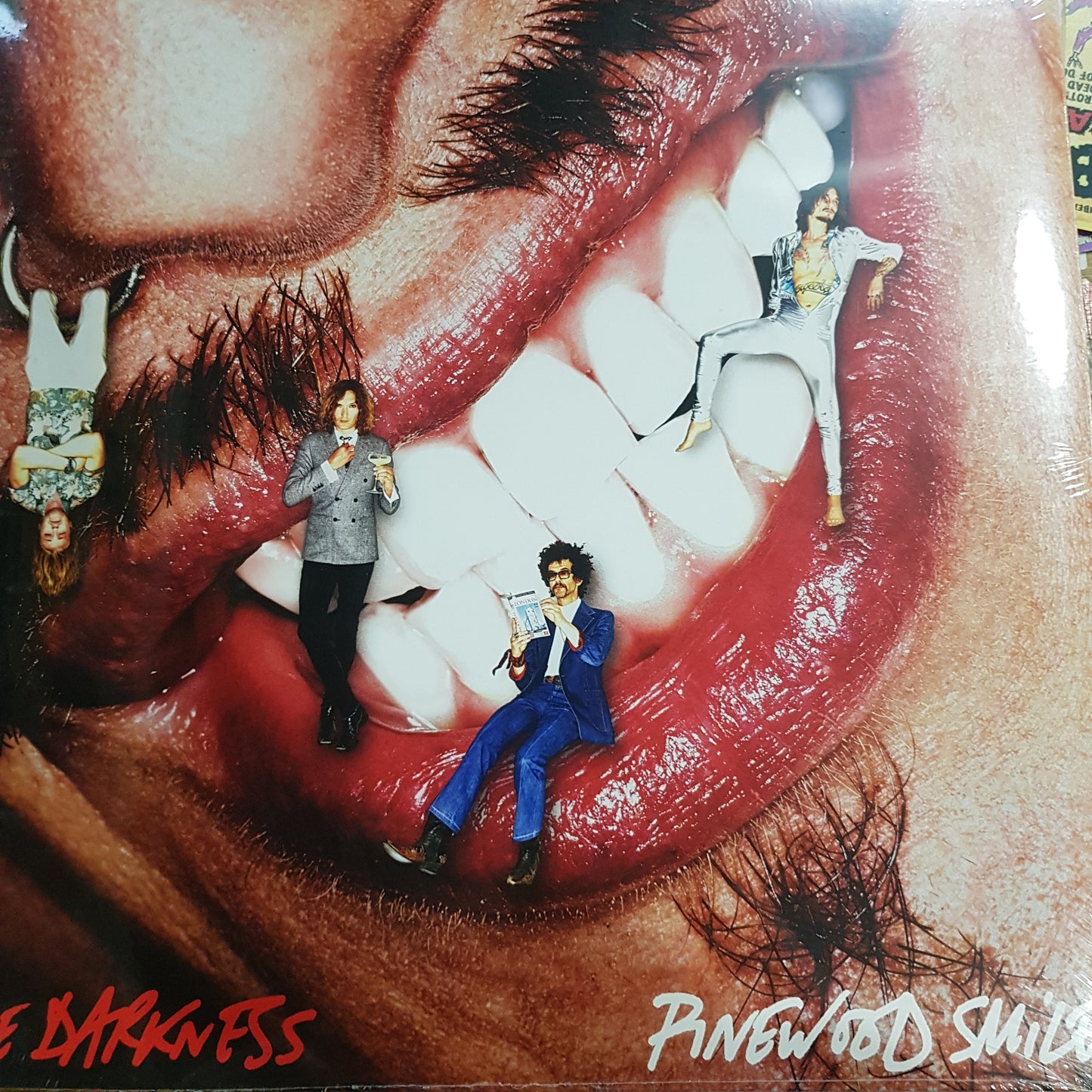 DARKNESS - PINEWOOD SMILE VINYL