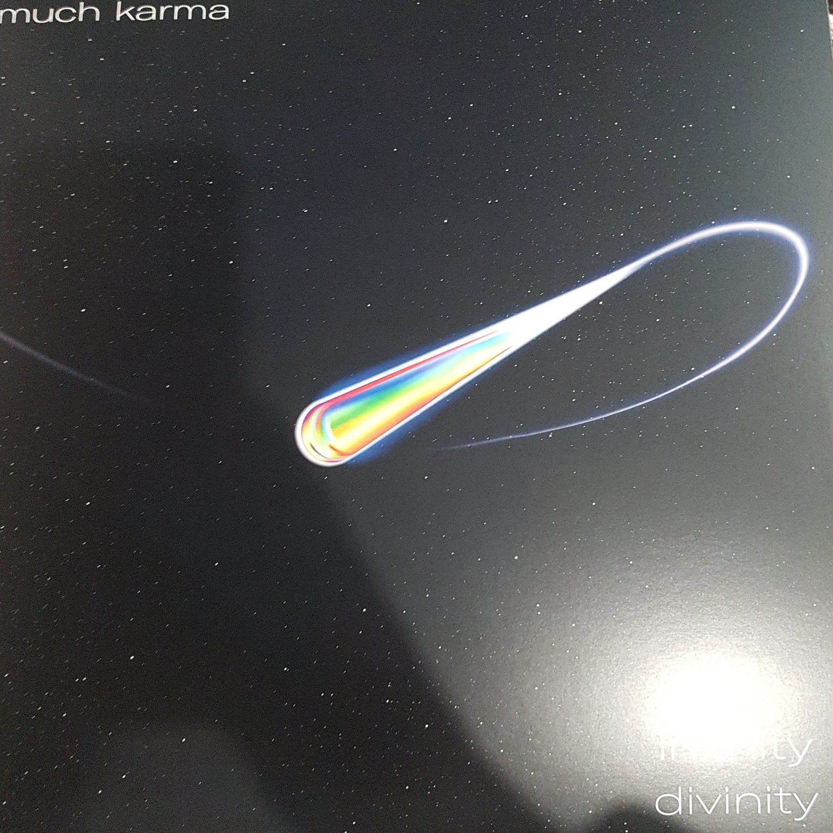 MUCH KARMA - INFINITY DIVINITY VINYL