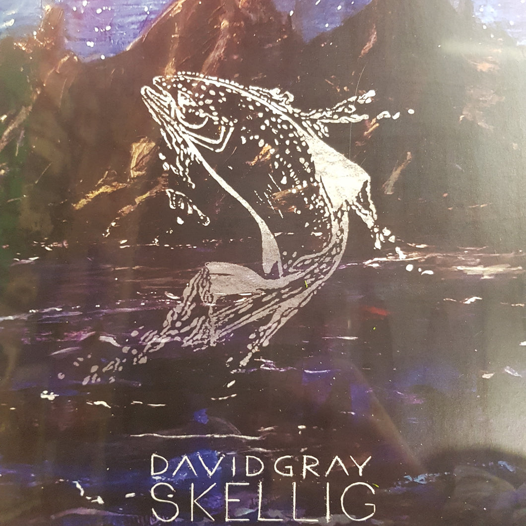 DAVID GRAY - SKELLIG (2LP) VINYL