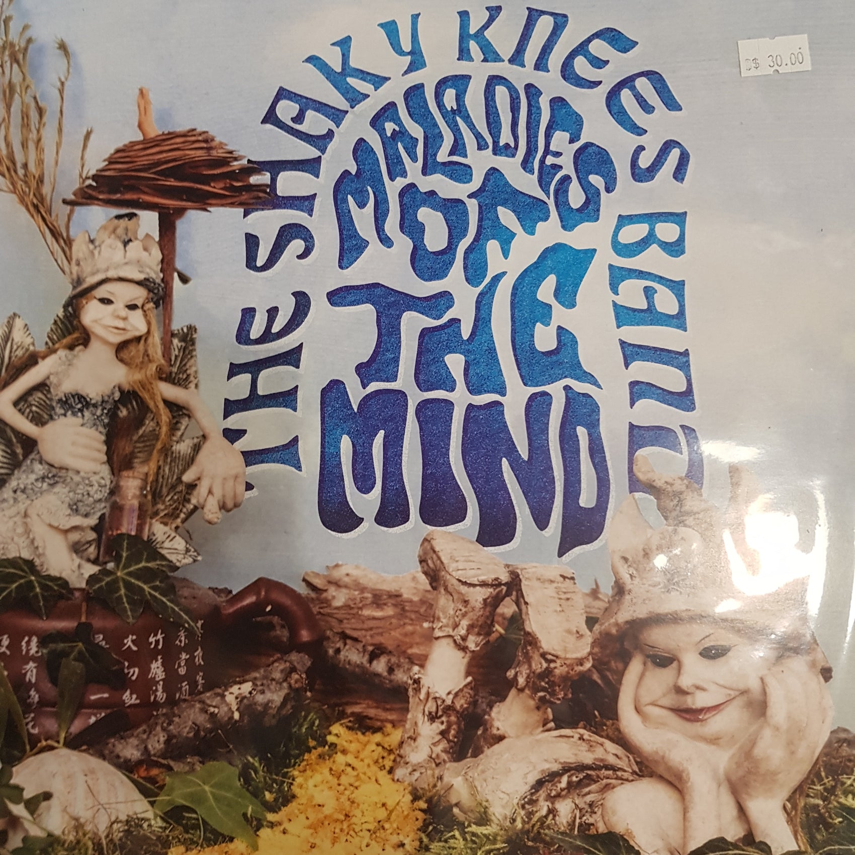 SHAKEY KNEES BAND - MALADIES OF THE MIND VINYL