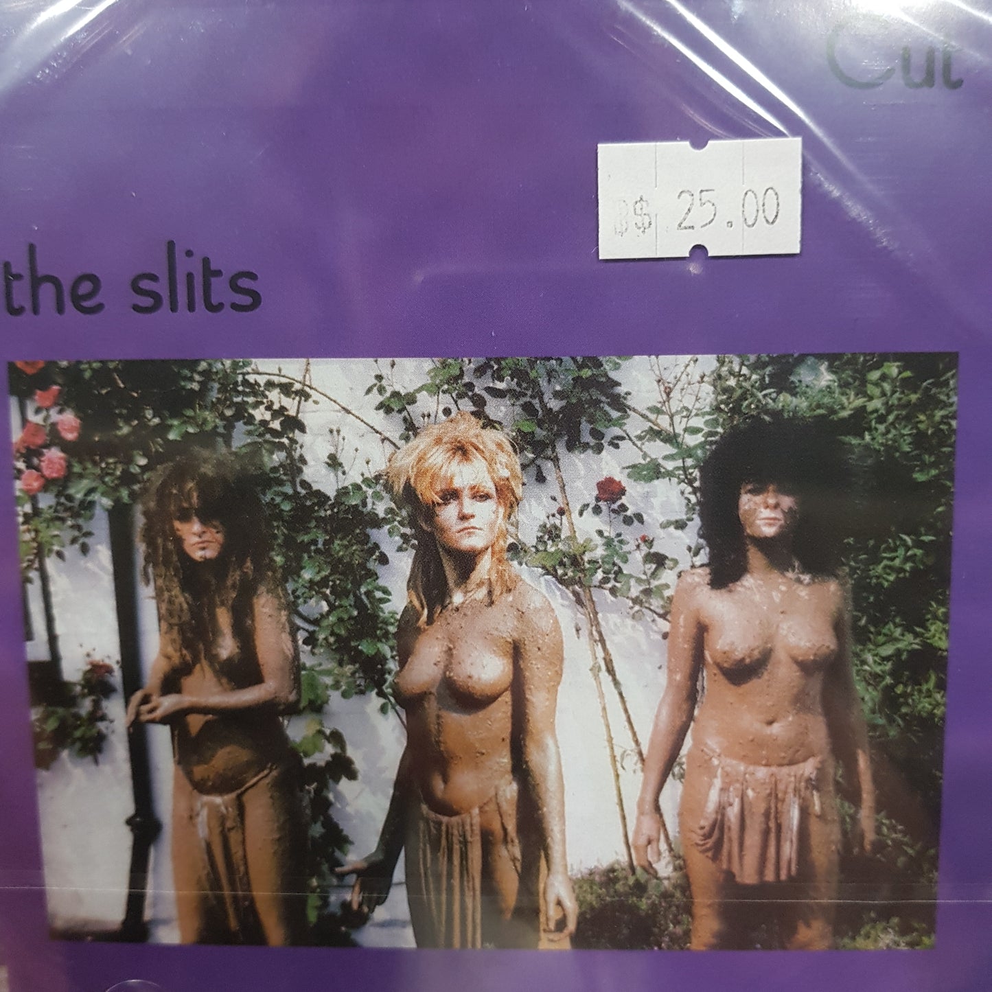 SLITS - CUT CD