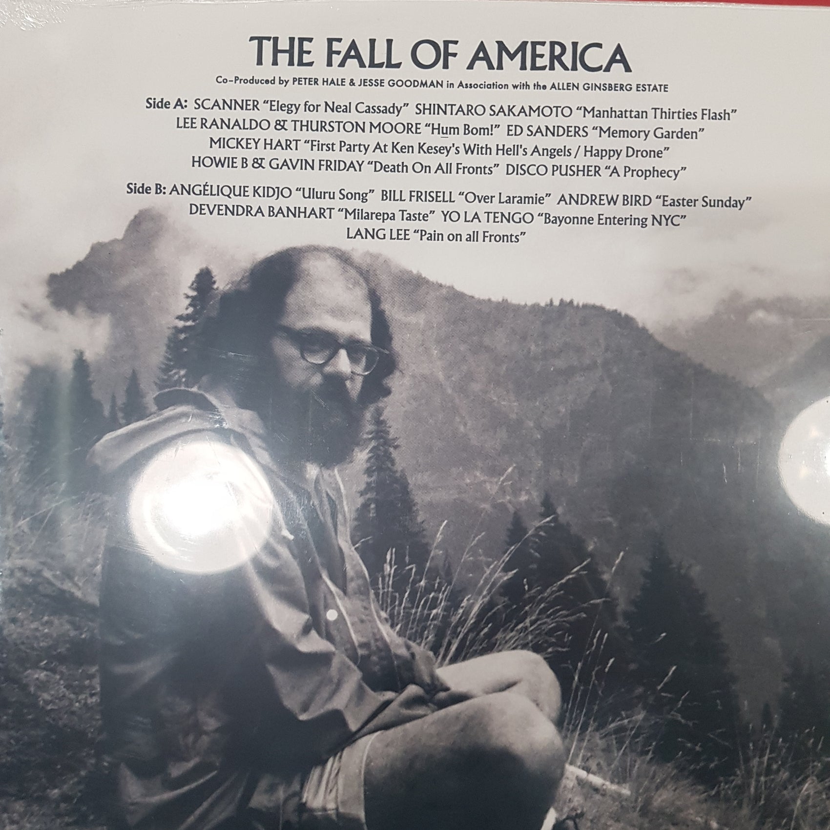 VARIOUS ARTISTS - ALLEN GINSBERG: THE FALL OF AMERICA VINYL