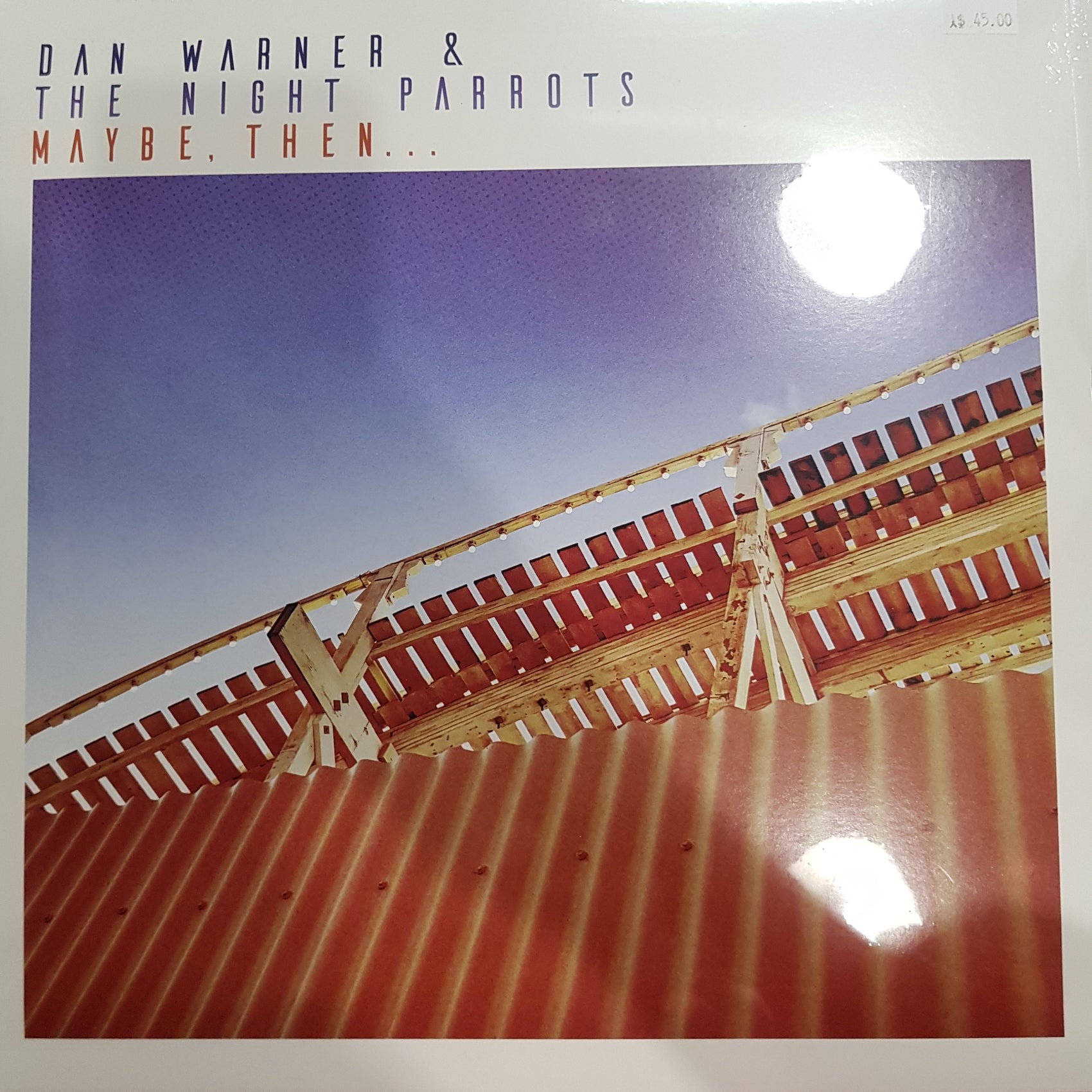 DAN WARNER AND THE NIGHT PARROTS - MAYBE THEN VINYL