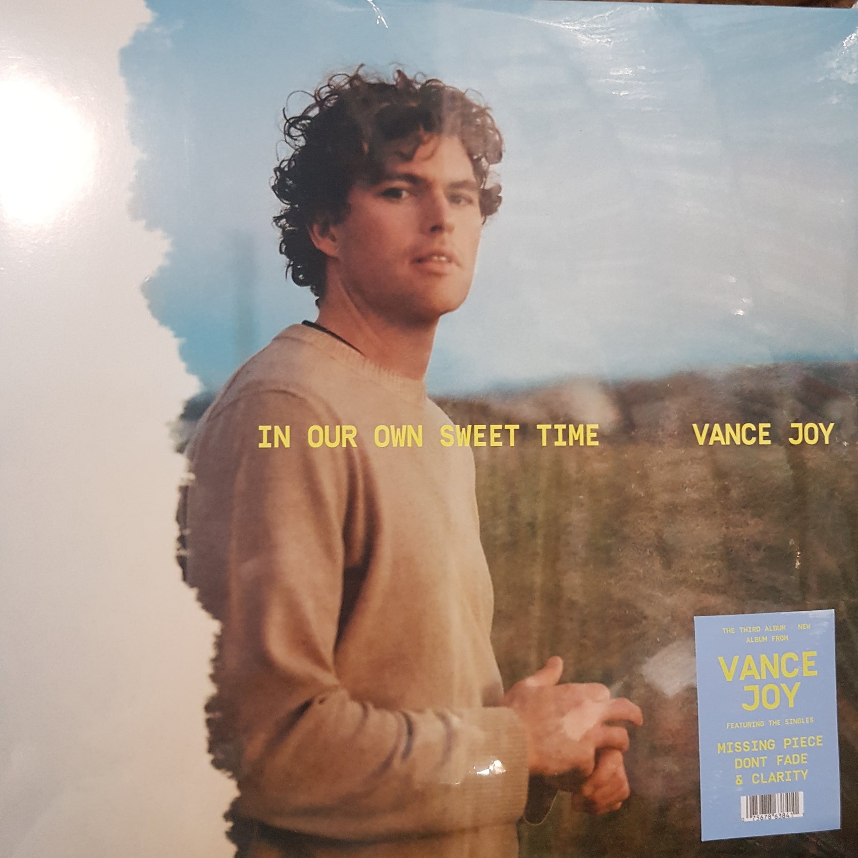 VANCE JOY - IN OUR OWN SWEET TIME VINYL