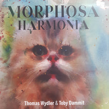 Load image into Gallery viewer, THOMAS WYLDER AND TOBY DAMMIT - MORPHOSA HARMONIA (LP) BOX SET

