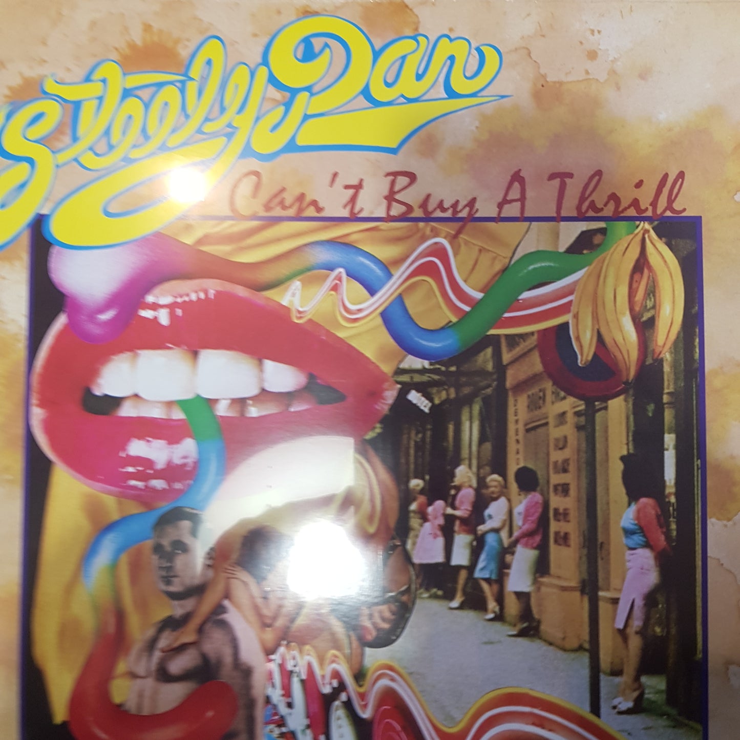 STEELY DAN - CANT BUY A THRILL VINYL