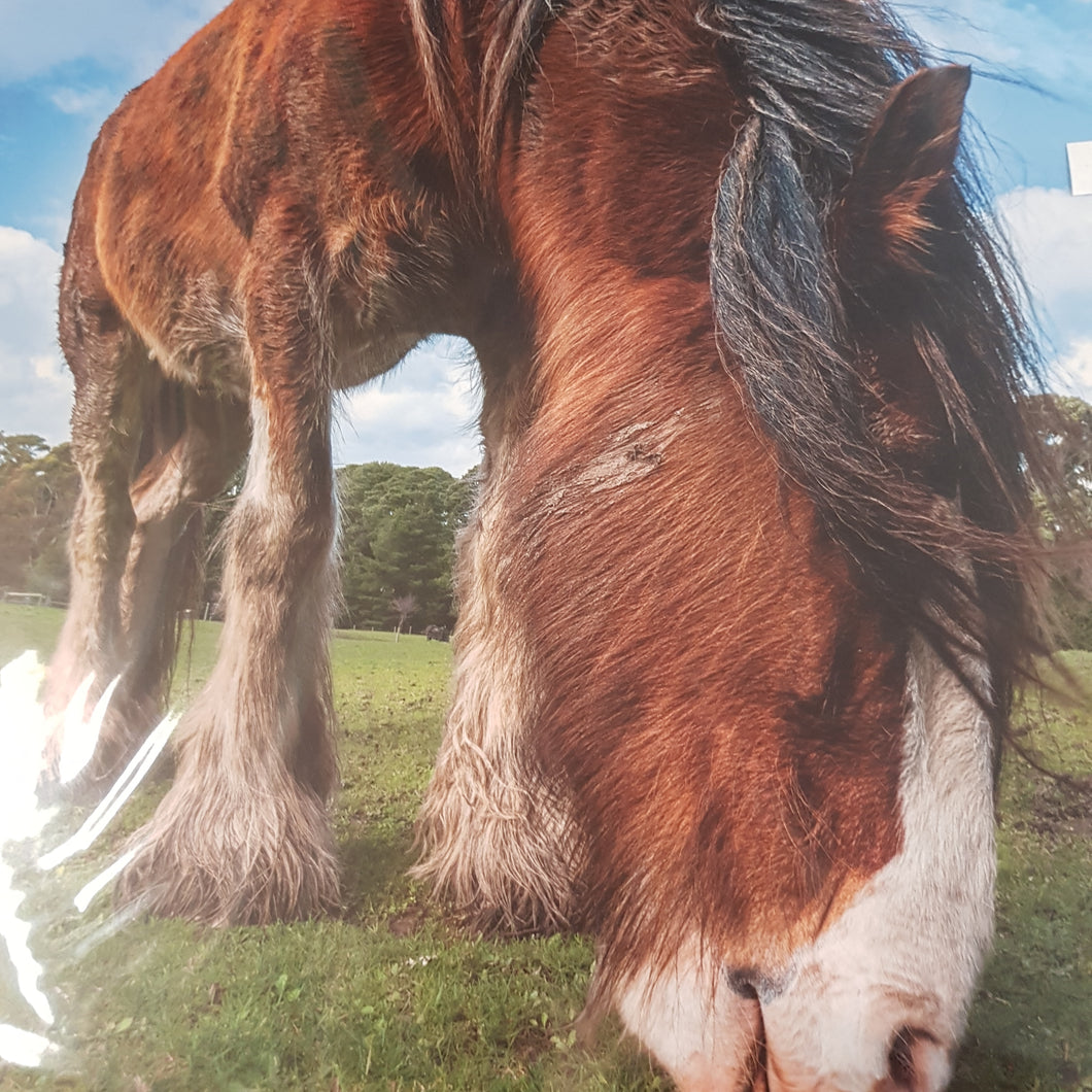 MOTHERSLUG - BLOOD MOON BLUES ‎VINYL