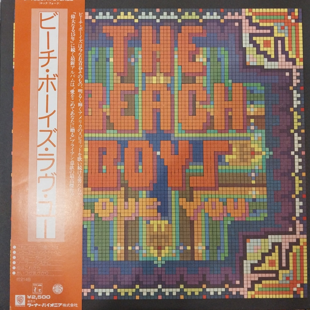 BEACH BOYS - LOVE YOU (USED VINYL 1977 JAPAN M-/EX+)